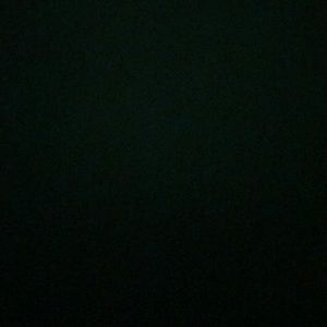 Meet your Posher, Hector